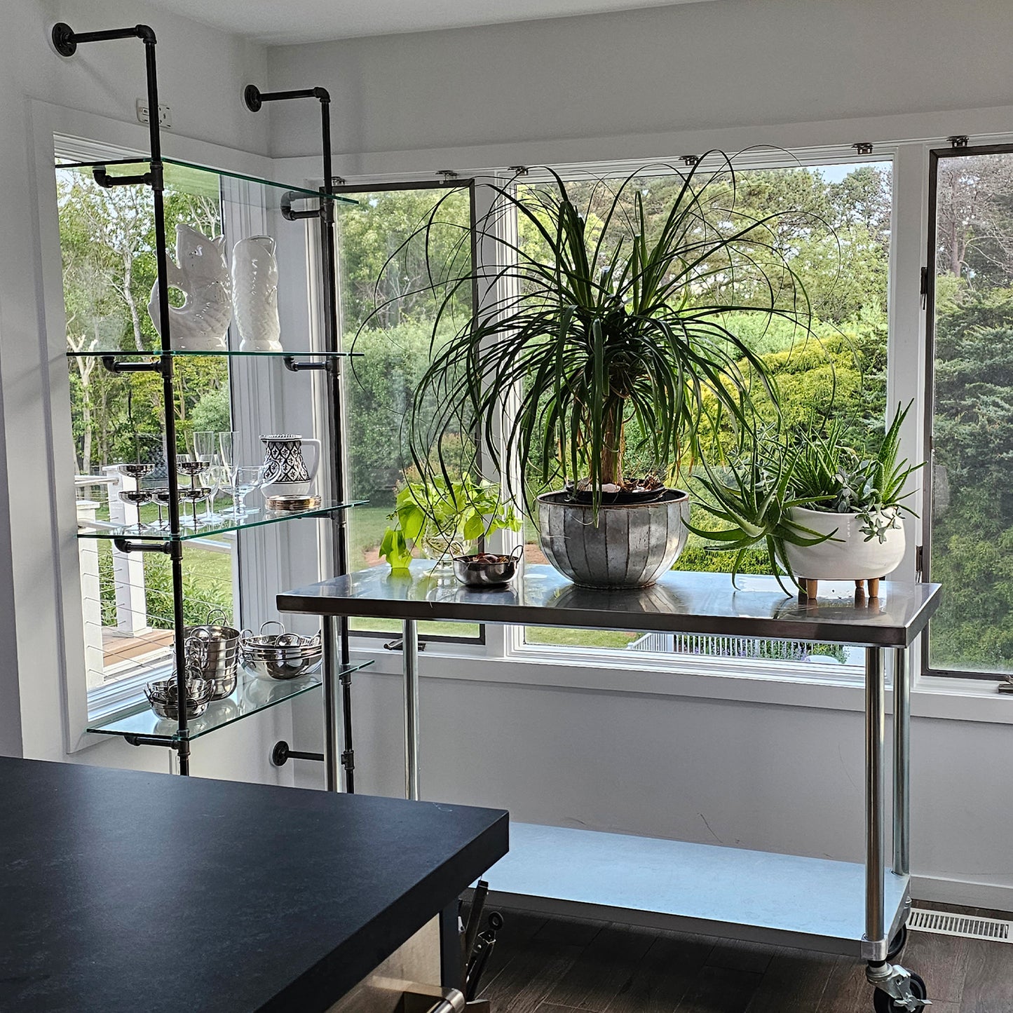 Counter and Wall Mounted