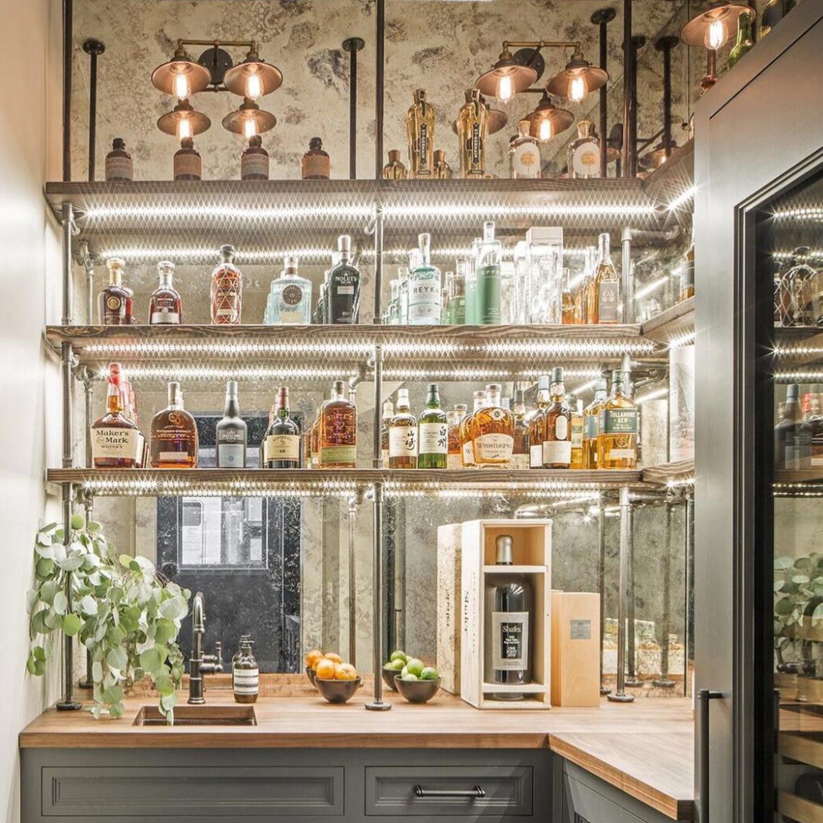 counter to ceiling shelving with black pipes and walnut shelves in bar | Soil & Oak