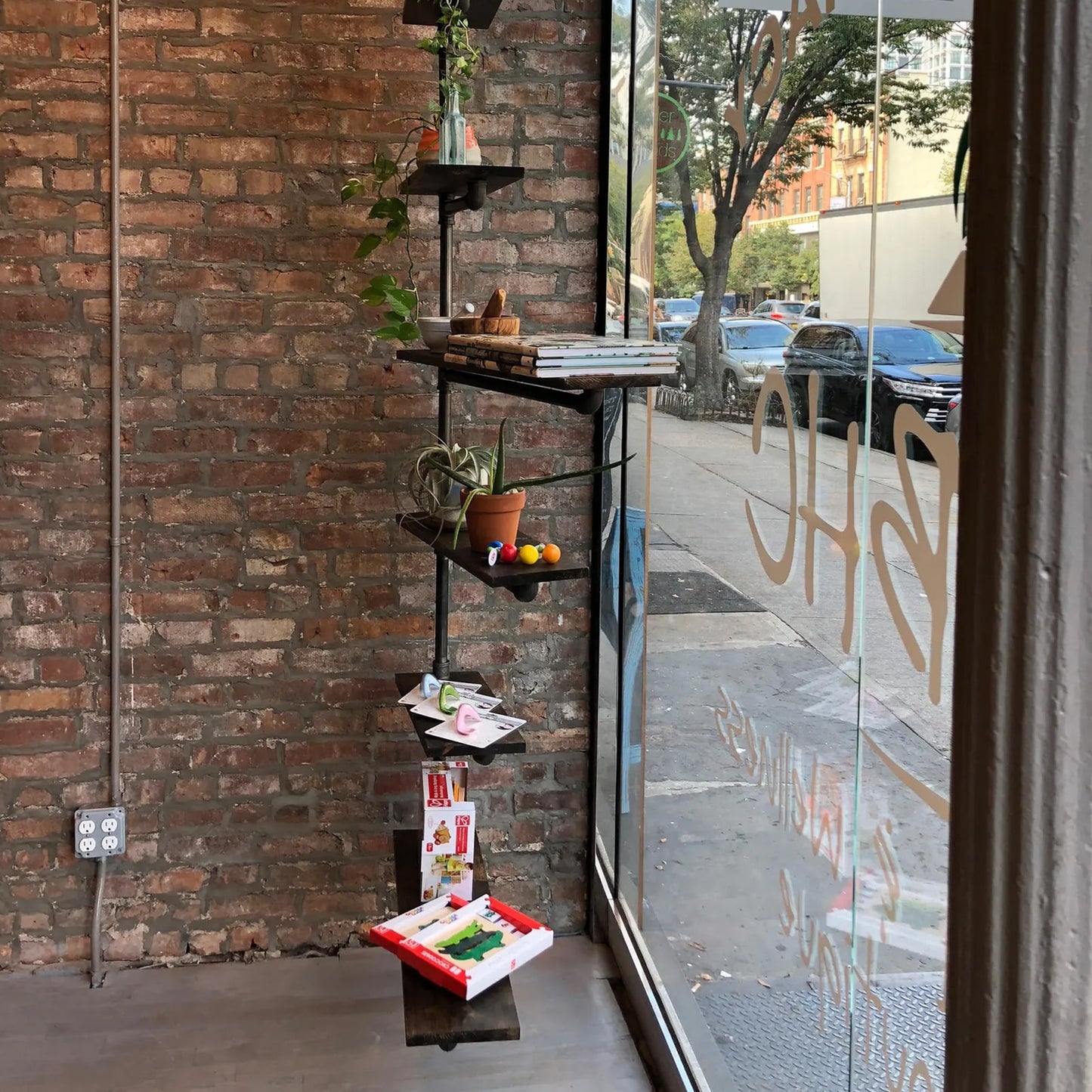 custom plant shelf with black pipes and dark stained wood shelves used for retail store display | Soil & Oak