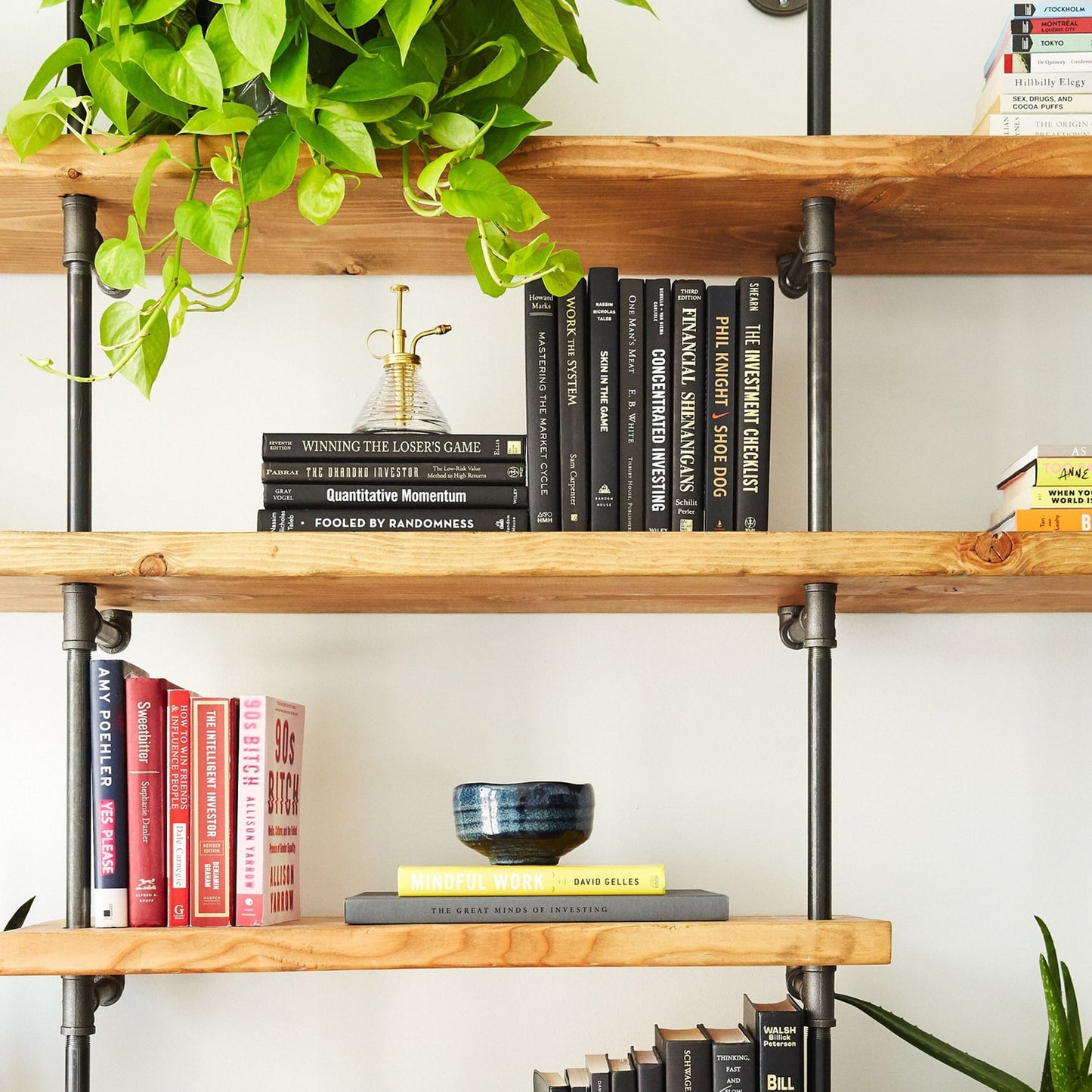 close up photo of soil & oak tall black steel pipe with oak wood shelves in apartment living room