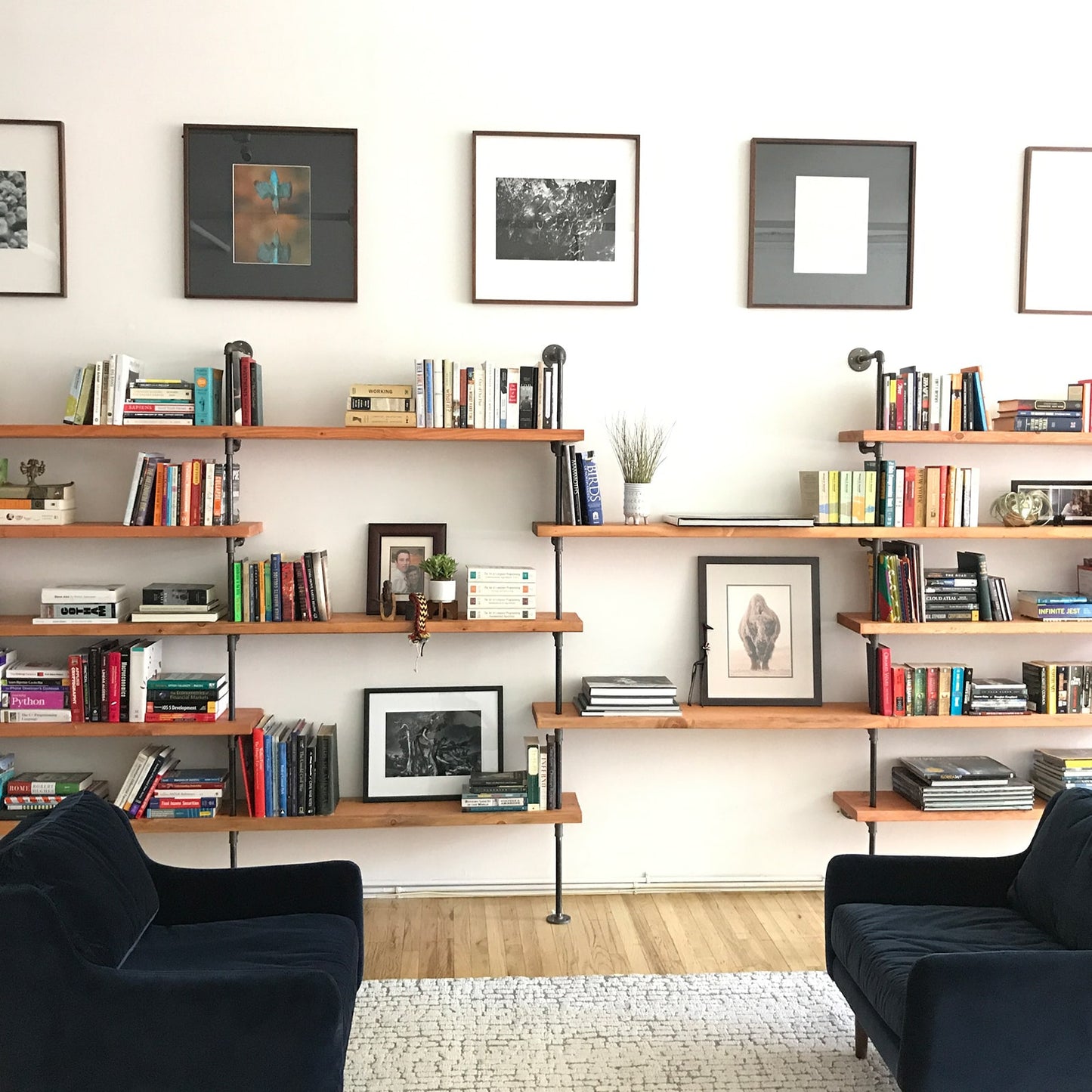 wide photo of soil & oak black steel pipe with oak wood shelves in apartment living room