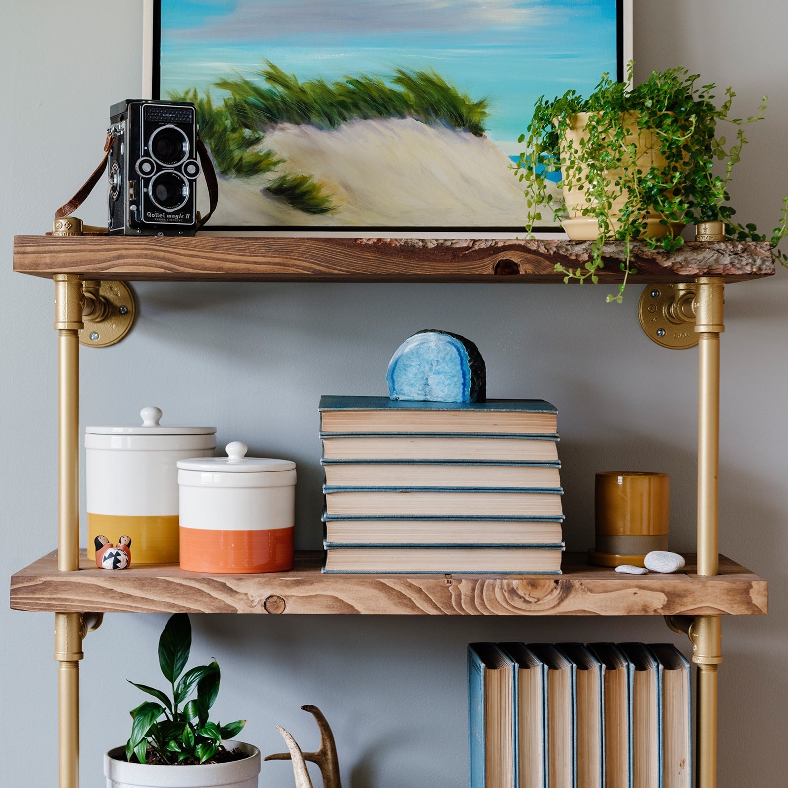 close up photo soil & oak brass plated pipe with walnut shelves
