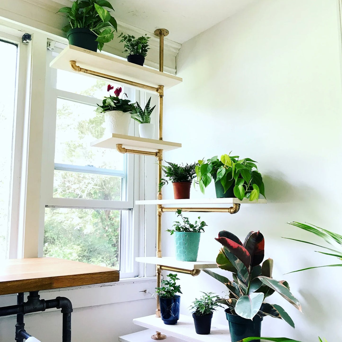 custom soil & oak plant shelf with brass plated pipes and white shelves